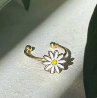 Ring With Transparent Box