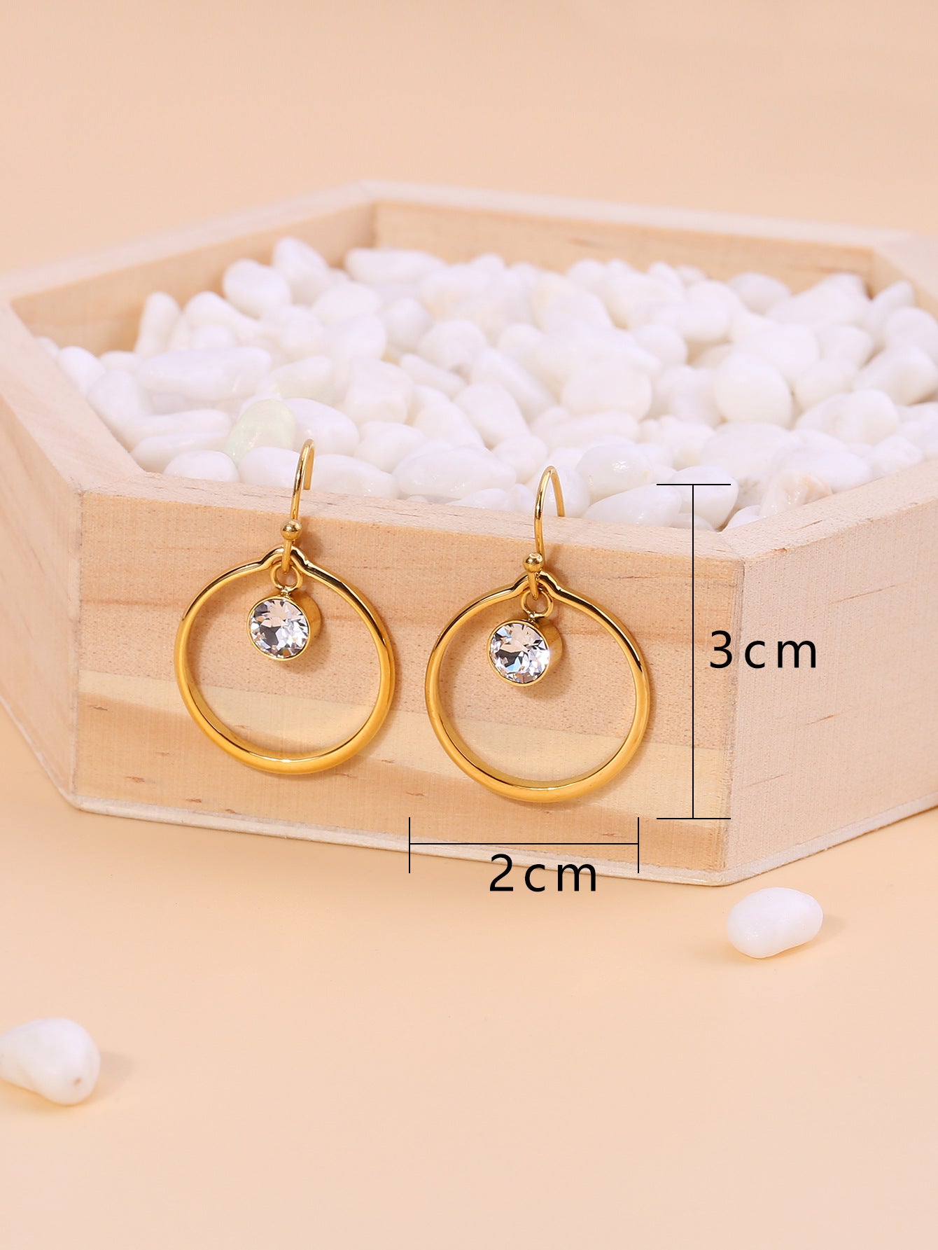 Titanium Steel Fashion Zirconia Circle Earrings