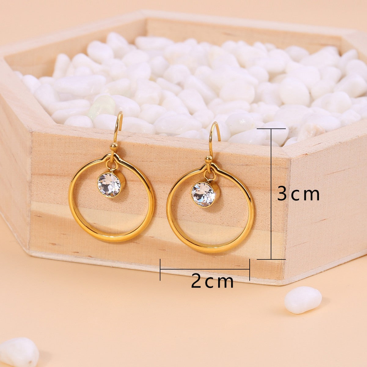 Titanium Steel Fashion Zirconia Circle Earrings
